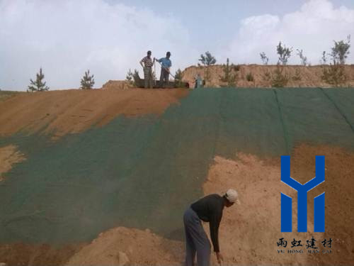 三維植被網(wǎng)http://napyz.cn/