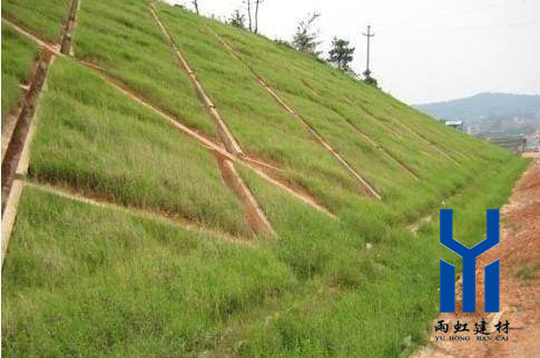 三維植被網http://napyz.cn/