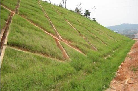 三維土工網(wǎng)墊http://napyz.cn/